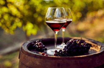 Quel verre pour quel vin ?